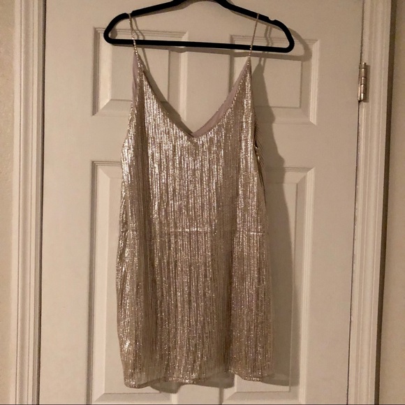 Silver Amuse Society Dress - Picture 1 of 3